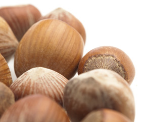 Wall Mural - hazelnuts