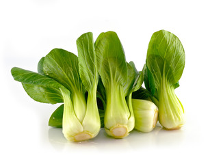 Wall Mural - Bok choy (chinese cabbage) isolated on white