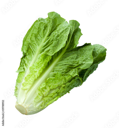 Fotomural Romain Lettuce isolated on white