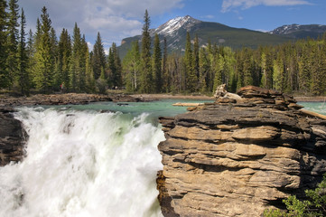 Falls in the rugged mountain river in the Canadian Rockies