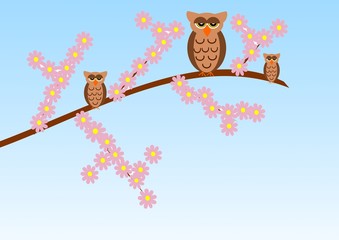 Wall Mural - Owl Family