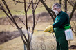 © lightpoet - gardener applying an insecticide/a fertilizer to his fruit