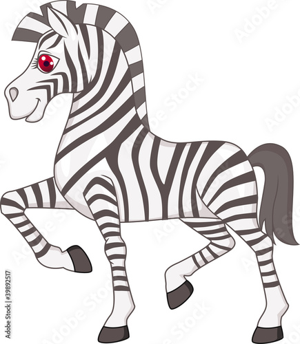 zebra-kreskowki