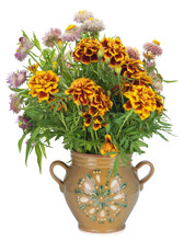 French Marigold In Jug