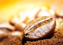Arabic Coffee Beans On The Golden Light Beam