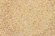 sesame seeds texture background