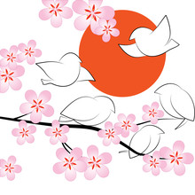 Sakura,   Birds In The Spring On A Tree