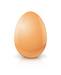 chicken egg vector illustration isolated on white background