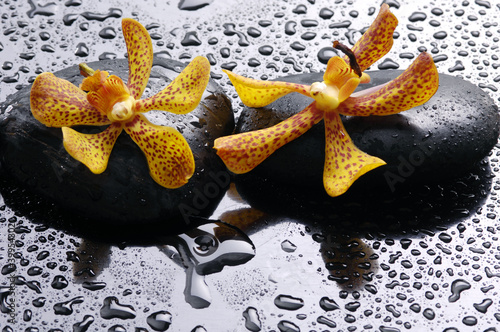 Naklejka - mata magnetyczna na lodówkę Spa still life with water drops