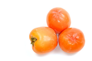 persimmon