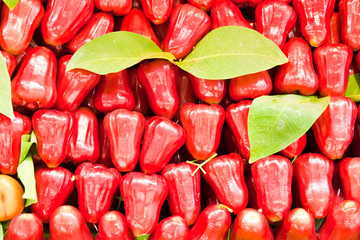 Red rose apple