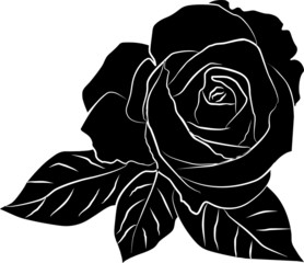 black rose silhouette - freehand, vector illustration