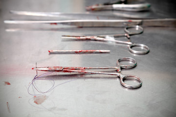 veterinarian surgery equipment after intervention