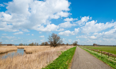 Sticker - Narrow country road along wetlands and a fenced meadow