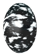 Egg With Spotted Black White Pattern