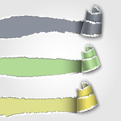 Wall Mural - three torn paper banner