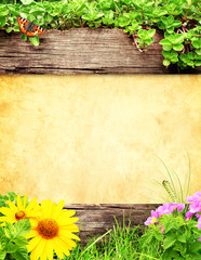 Wall Mural - Summer background