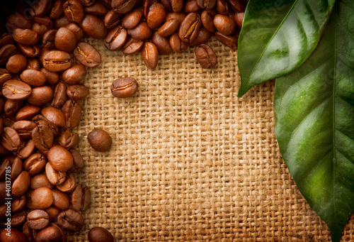 Fototapeta do kuchni Coffee Border design. Coffee Beans and Leaves