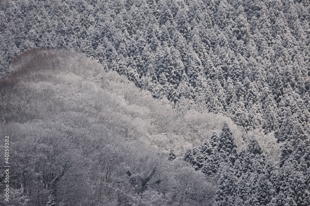 なごり雪 Stock Photo | Adobe Stock