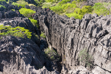 Wall Mural - The Tsingy of Ankarana