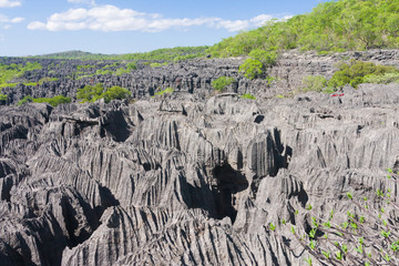 Wall Mural - Tsingy of Ankarana