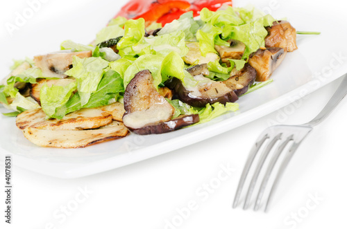 Fotografie, Obraz beef salad with grilled vegetables on white background