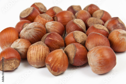 Orzech Laskowy Buy This Stock Photo And Explore Similar Images At Adobe Stock Adobe Stock