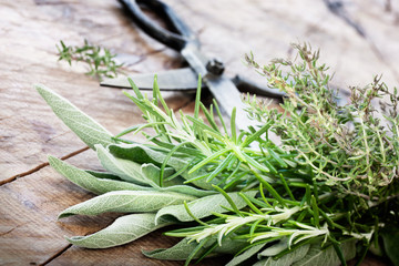 Freshly harvested herbs