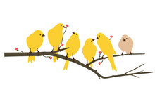 Yellow Bird Decal Artwork