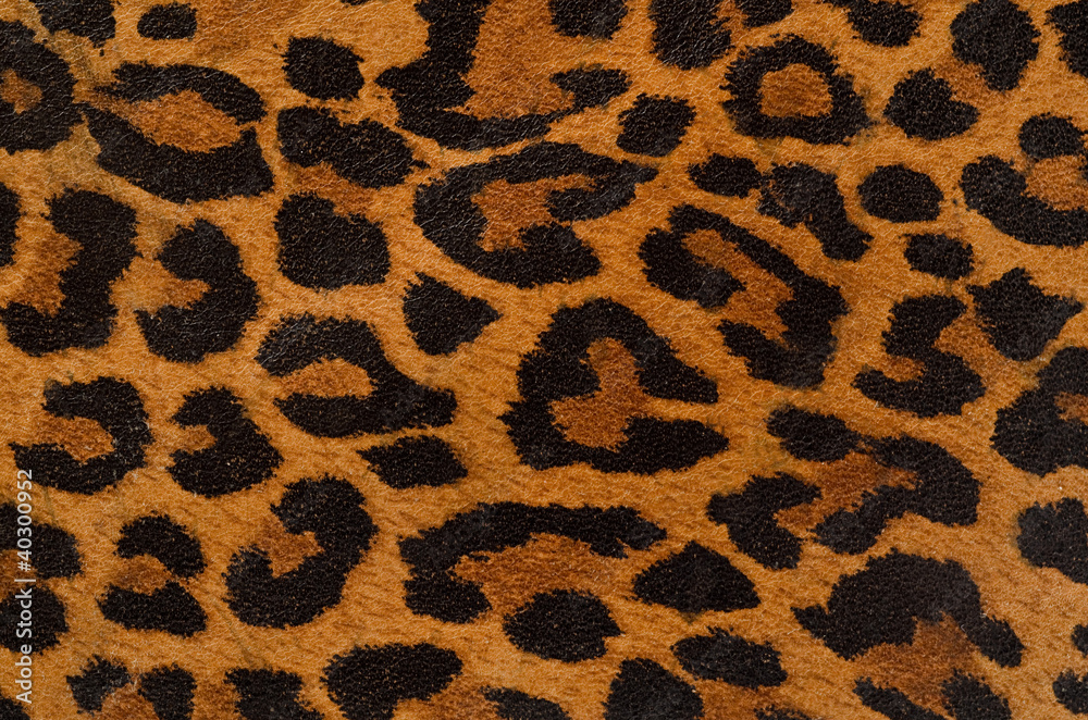 Leopard print pattern Stock Photo | Adobe Stock