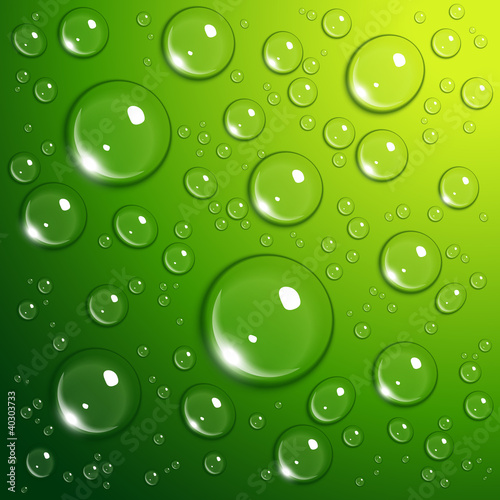 Naklejka dekoracyjna Water drops on green
