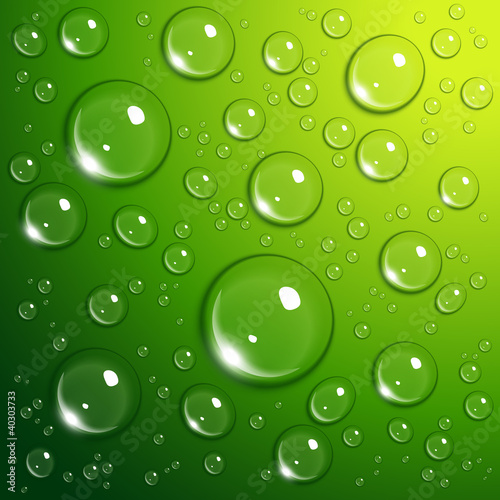 Naklejka na kafelki Water drops on green