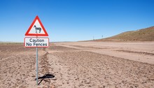 Warning Of Road Sign - Zebras On The Road, Namibia