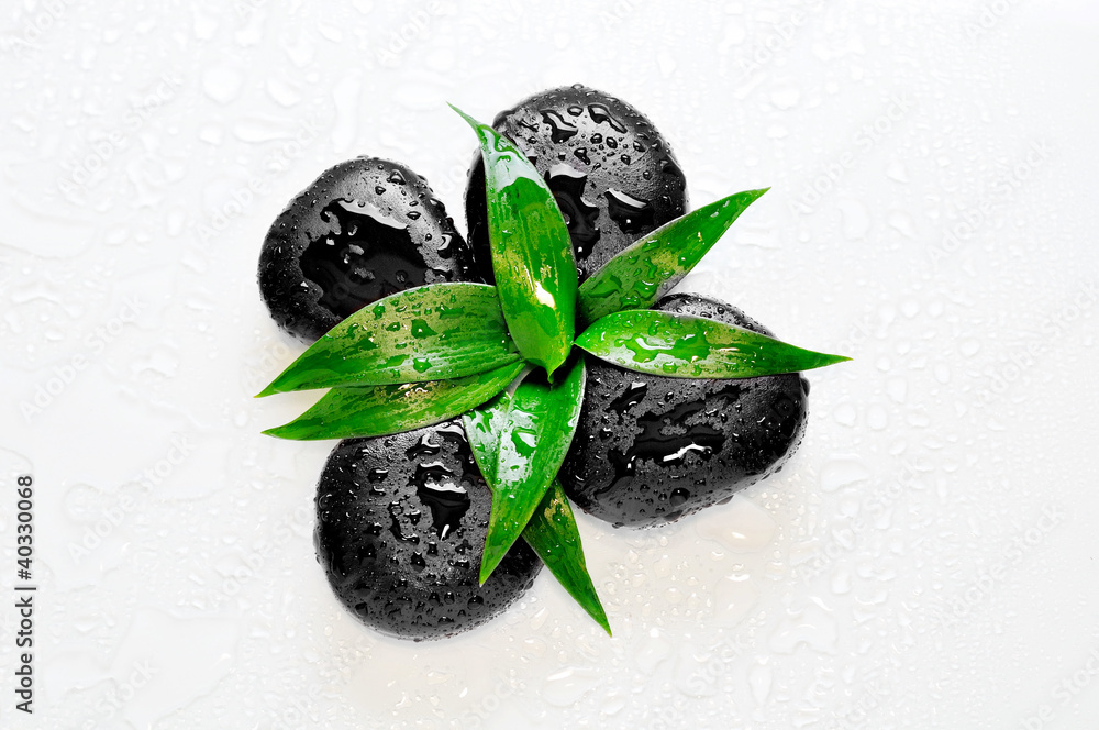 Zen Stones With Leaves And Water Drops Wall Mural Wallpaper Murals Oksanka