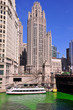 Wrigley Tower Chicago on Saint Patricks Day