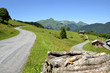 Road in the Alps mountains near Morzine in France