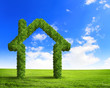 © Sergey Nivens - Green grass  house symbol