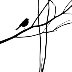 Wall Mural - bird silhouette on wood branch
