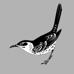 Poster - thrush silhouette on gray  background