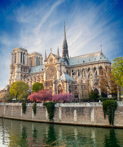 Tapeta ścienna na wymiar Notre dame de Paris - France