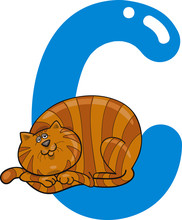 C For Cat
