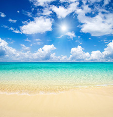 Poster - tropical beach in Maldives. sea landscape