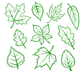 Poster - Green leaves set
