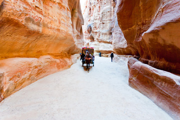 bedouin carriage in Siq passage to Petra city