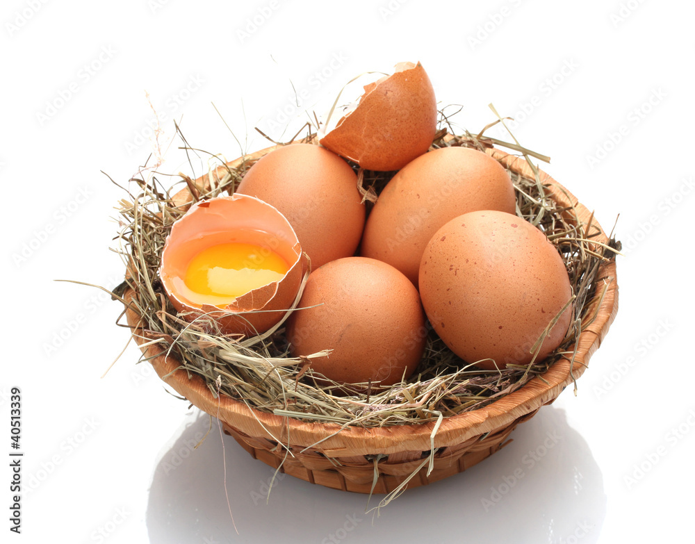 chicken eggs in a nest isolated on white