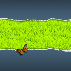 Wall Mural - torn paper with grass and butterfly