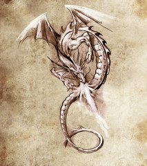 Papier Peint - Fantasy dragon. Sketch of tattoo art, medieval monster