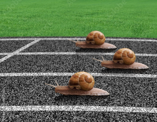 Fototapeta na wymiar Snails race on sports track