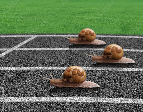 Naklejka - mata magnetyczna na lodówkę Snails race on sports track