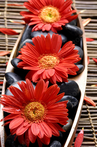 Fototapeta na wymiar Spa-like setting. red flower and stone on mat